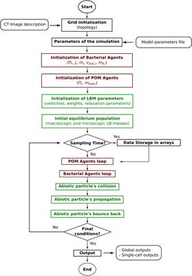 Microscale Heterogeneity of the Spatial Distribution of Organic Matter Can Promote Bacterial Biodiversity in Soils: Insights From Computer Simulations